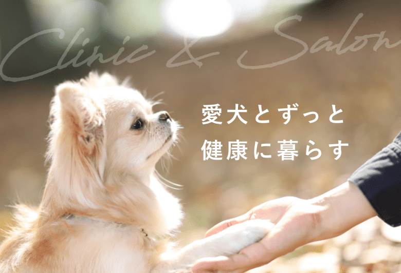 愛犬の健康と笑顔のために。岡山中心市街地の動物病院＆サロンでトータルサポート